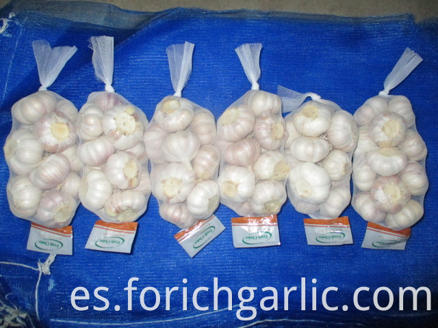 Jinxiang Fresh Normal White Garlic